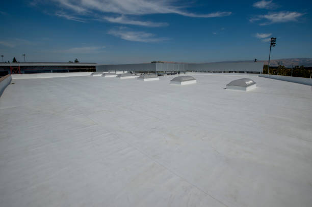 Best Gutter Installation and Repair  in Colchester, IL