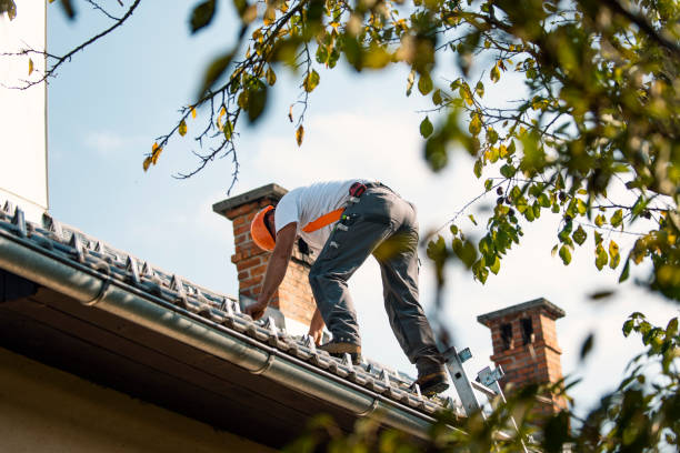 Fast & Reliable Emergency Roof Repairs in Colchester, IL
