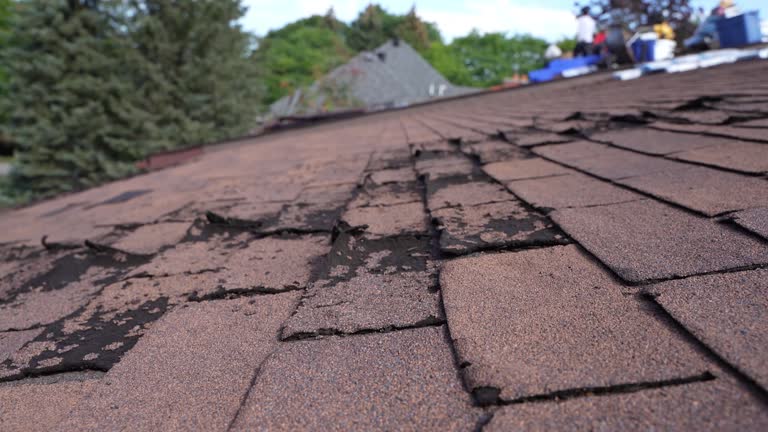 Best Asphalt Shingles Roofing  in Colchester, IL
