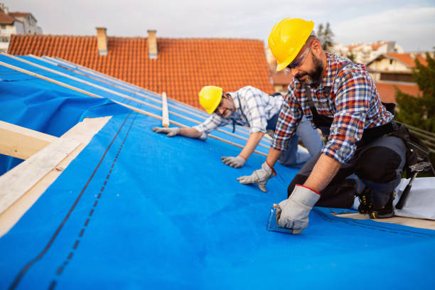 Best Roof Moss and Algae Removal  in Colchester, IL