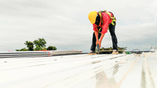 Best Roofing for New Construction  in Colchester, IL