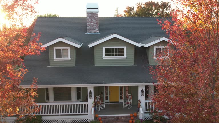 Best Roof Moss and Algae Removal  in Colchester, IL