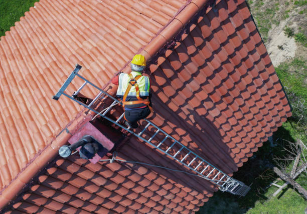 Best Roof Ventilation Installation  in Colchester, IL