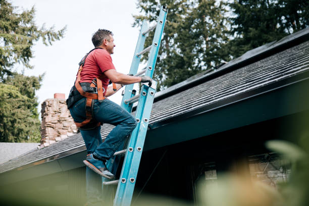 Best Roof Installation  in Colchester, IL