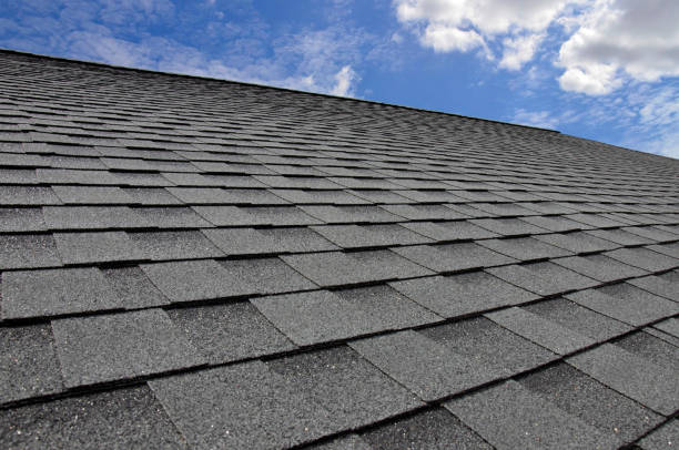 Best Roof Waterproofing  in Colchester, IL